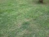 IMG072.jpg