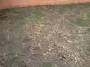 IMG073.jpg