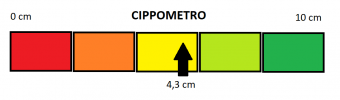 CIPPOMETRO.png