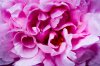 20130512_MG_9436.jpg
