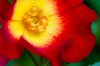 20130512_MG_9432.jpg