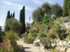 800px-Giardini_Botanici_Hanbury_-_general_view[1].jpg