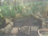 20130514_091343.jpg