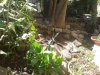 20130514_100446.jpg