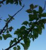 20130513_202309.jpg