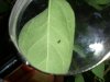 DSCN2638.jpg