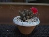 DSCF8673.jpg