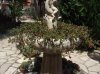 DSCF8674.jpg