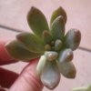 009 (3)_crop.jpg