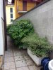 IMG_0126.jpg IMG_0126.jpg