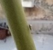 IMG_20211120_165411.jpg