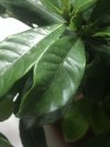 96FD0949-08B8-4B6C-9C0B-83BD09738CAD.jpeg