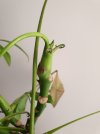 20220104_203921.jpg
