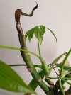 20220104_203850.jpg