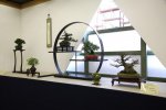 bonsai-shohin-festival035-768x512.jpg