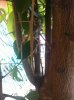 IMG_2590.jpg IMG_2590.jpg