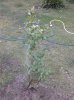 20130526_190024.jpg