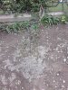 20130526_190036.jpg