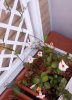 IMG_20130531_181109.jpg