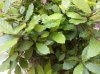 20130601_173432.jpg