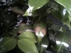 IMG-20130605-WA0000.jpg