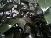 IMG-20130605-WA0001.jpg