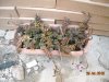DSCN0634.jpg
