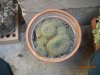 DSCN0640.jpg