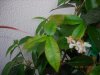 DSCN3723.jpg