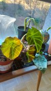 20220118_092859.jpg