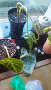 20220118_092905.jpg
