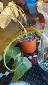 20220118_092951.jpg
