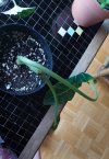 20220117_094202.jpg