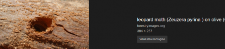 1644354315479.png