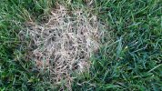 IMG-20220212-WA0000.jpg