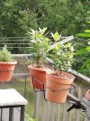 Resizer_16463225946022.jpg Resizer_16463225946022.jpg