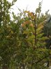 Copia di IMG_1285.jpg