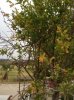 Copia di IMG_1286.jpg