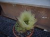 DSCF8705.jpg