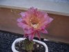 DSCF8707.jpg