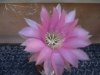 DSCF8709.jpg