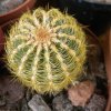 022 (2)_crop.jpg