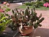 DSCN0143.jpg