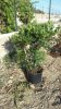 20130611_183344.jpg
