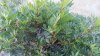 20130612_070156.jpg