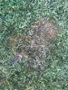 IMG_0077.jpg