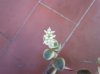 DSCN0456.jpg