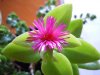 DSCN0838.jpg
