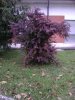 IMG_05252013_061722.jpg