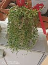 IMG_20220327_093833.jpg